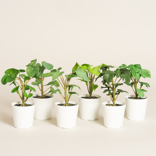 Maceta plastica blanca small con planta artificial set x 12 4x4x12 cm