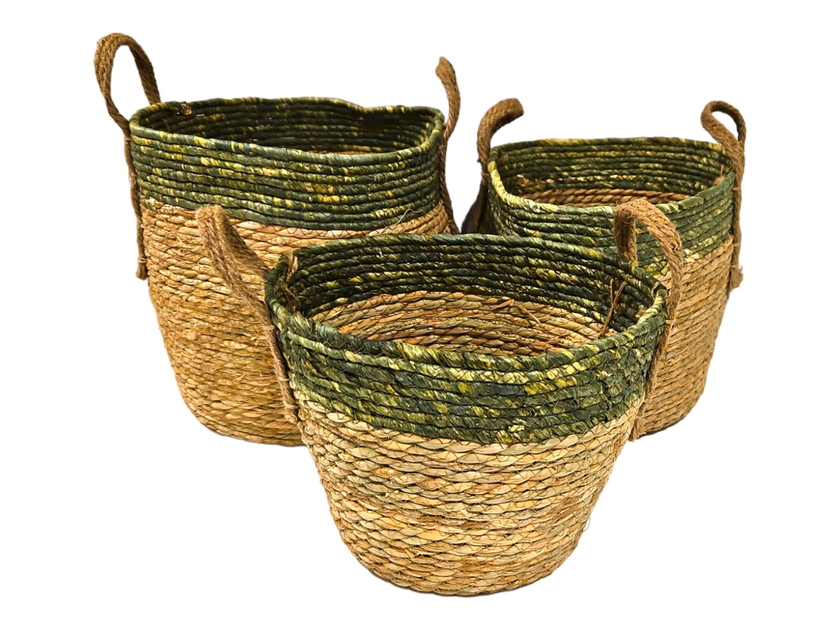 Cesto de seagrass crudo y verde Loura set x 3 30x28 I 25x25 I 20x22 cm