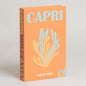 Libro decorativo Capri modelo 13 17x4x27 cm