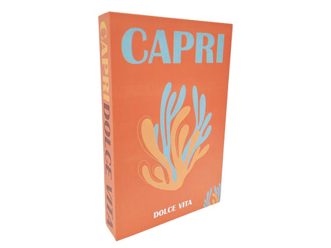 Libro tapa decorativa Capri modelo 13 27x17x4 cm