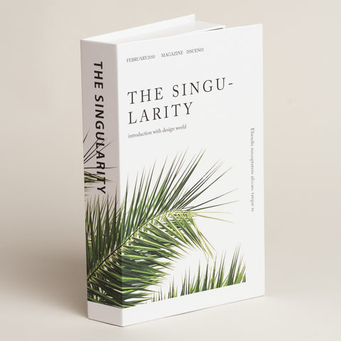 Libro caja cierre magnetico Singularity modelo 31 17x4x27 cm