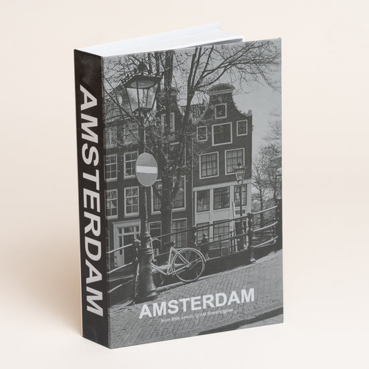 Libro caja cierre magnetico Amsterdam modelo 74 17x4x27 cm