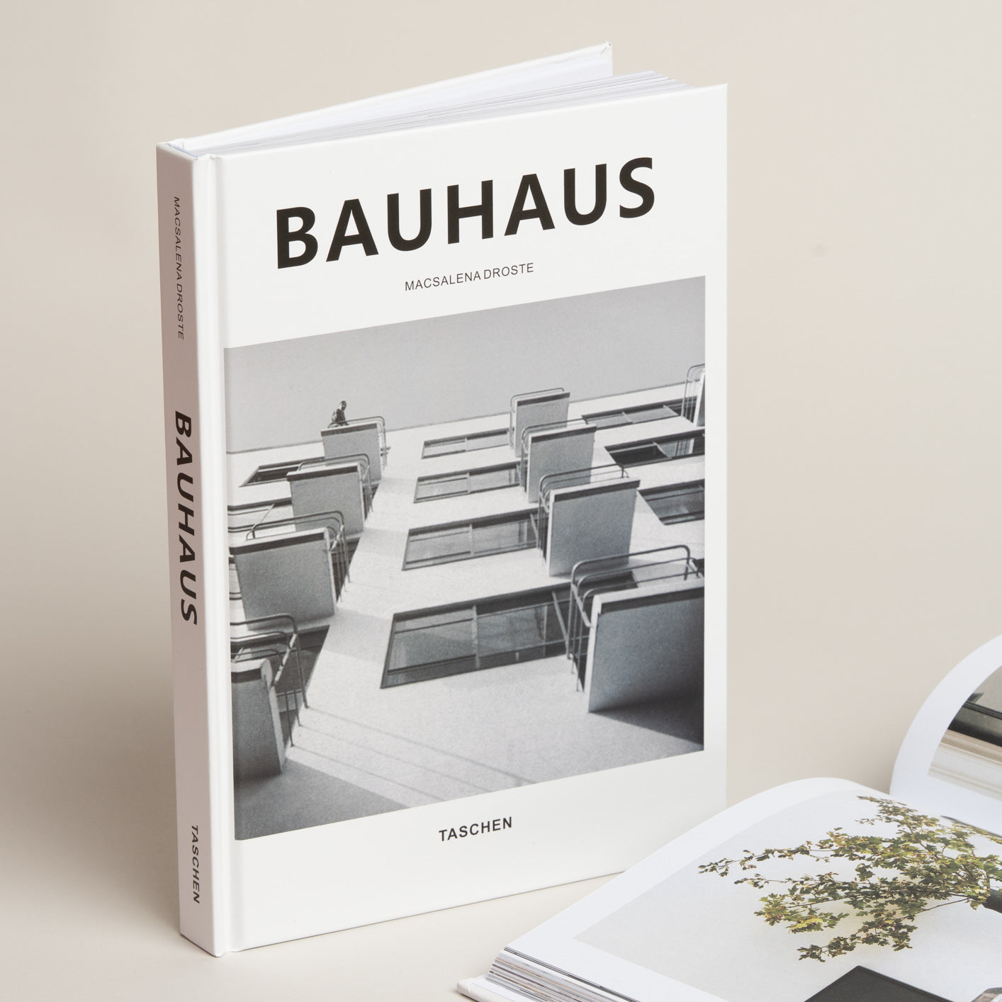 Libro con contenido Bauhaus modelo 54 26x19x3 cm