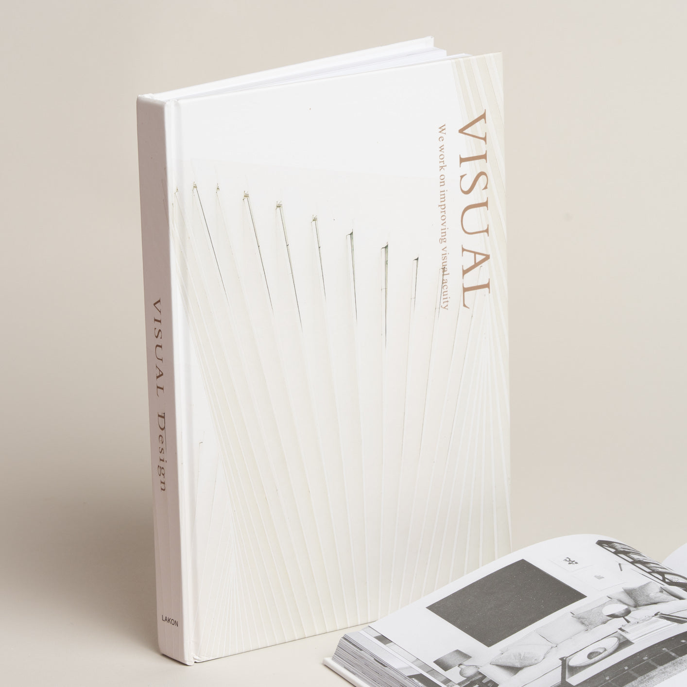 Libro con contenido Visual modelo 58 20x29x2 cm