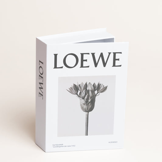 Libro caja cierre magnetico Loewe modelo 70 15x4x21 cm