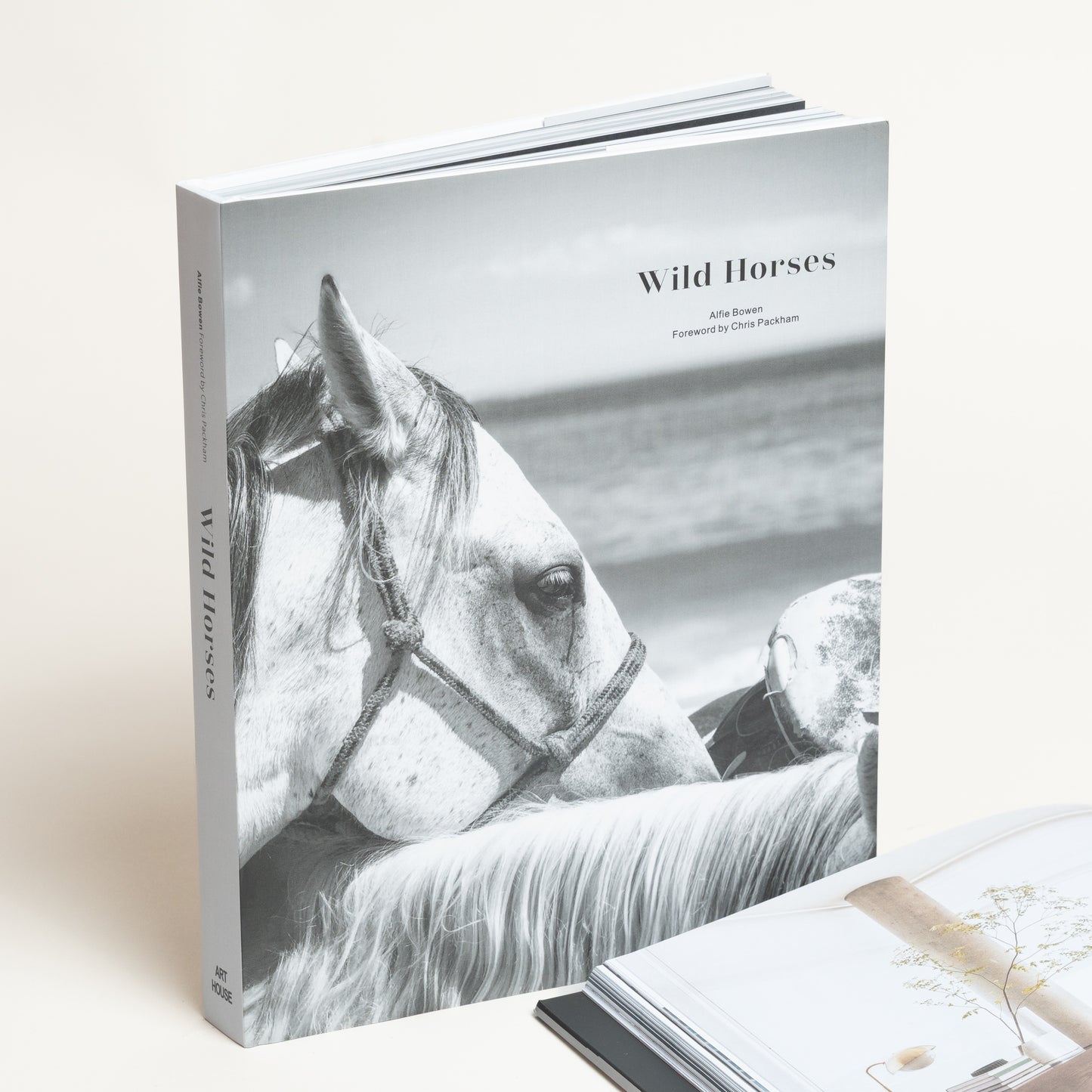 Libro con contenido Wild Horses modelo 79 30x25x3 cm