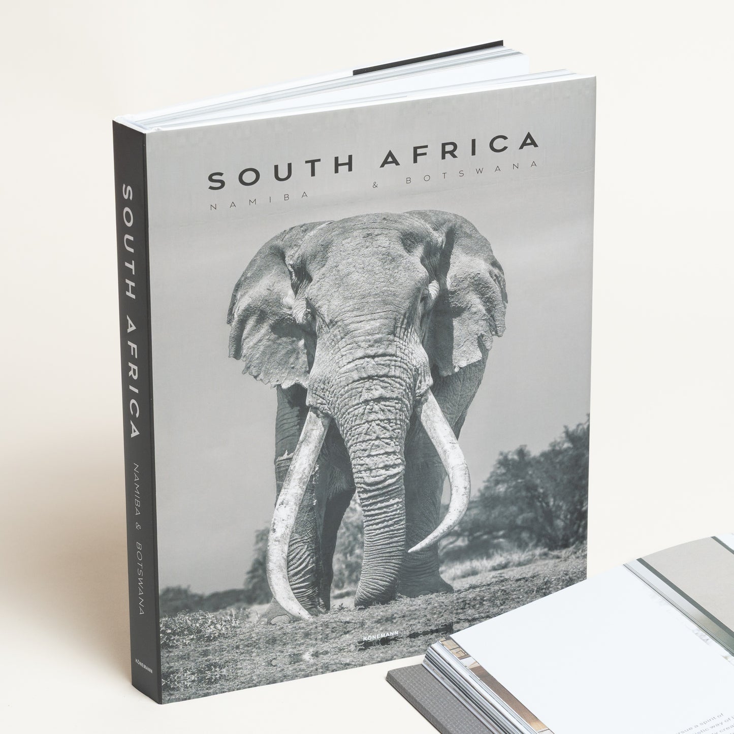 Libro con contenido Elephant modelo 82 30x25x3 cm