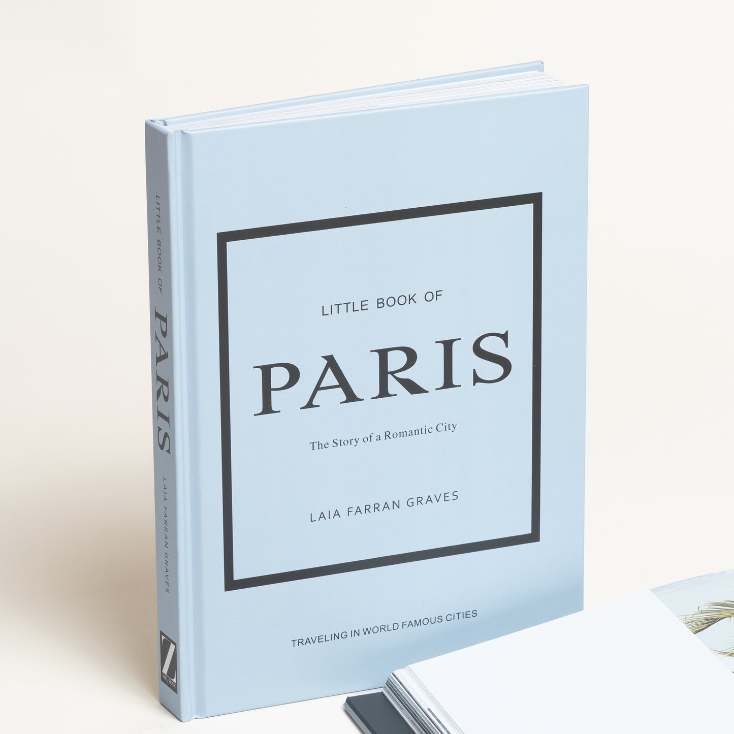 Libro con contenido Paris modelo 90 27x19x2 cm