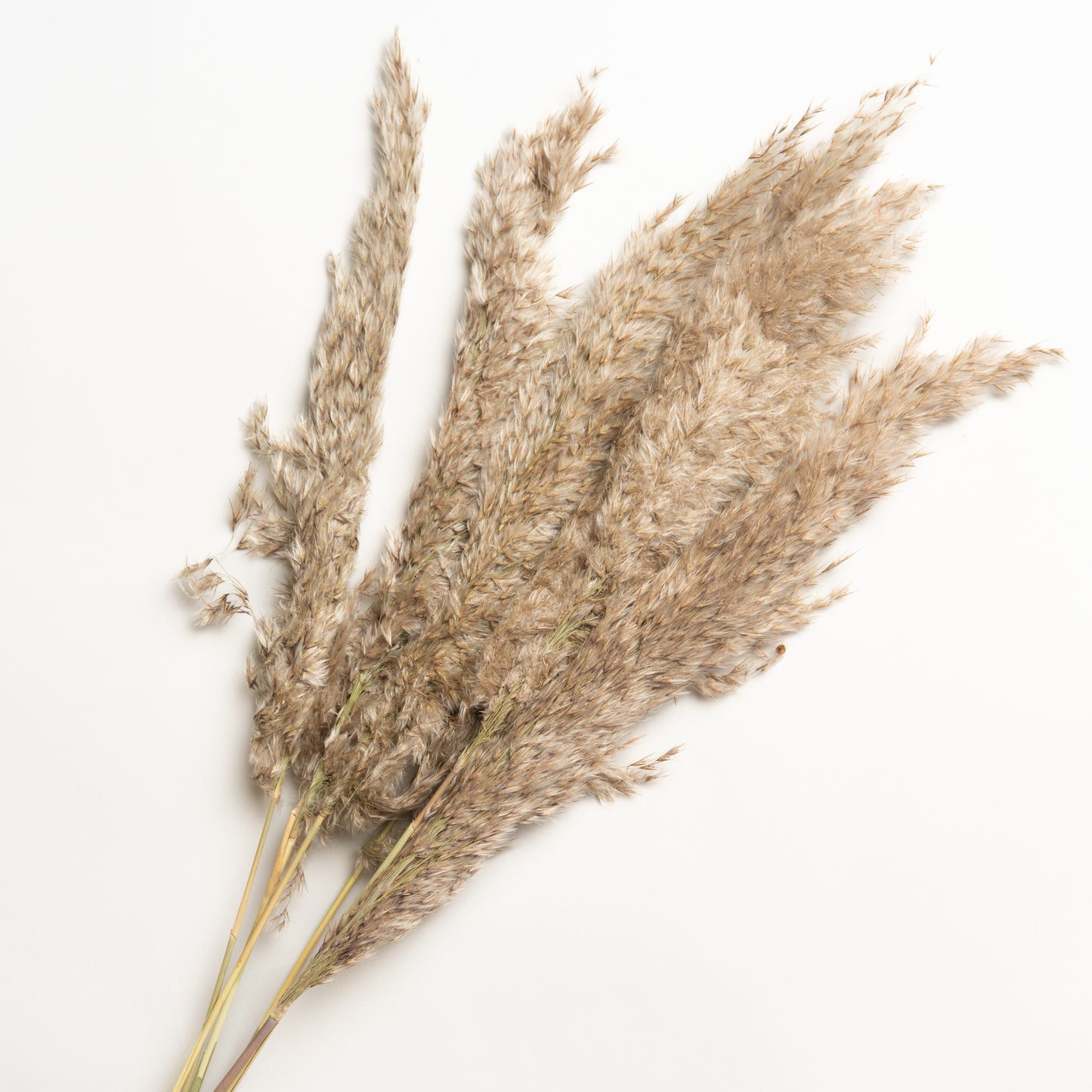 Ramo decorativo Modelo 4 70 cm