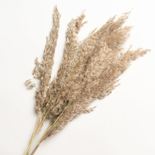 Ramo decorativo Modelo 4 70 cm