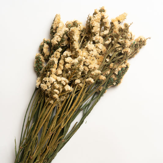 Ramo decorativo Modelo 5 70 cm