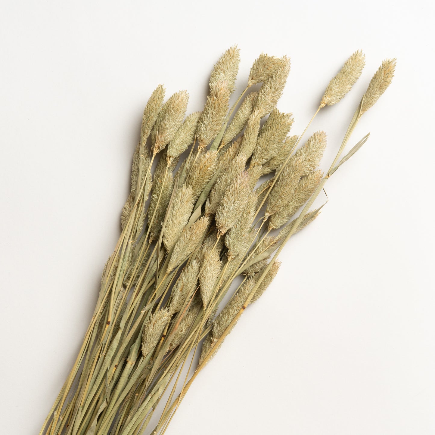 Ramo decorativo Modelo 3 60 cm