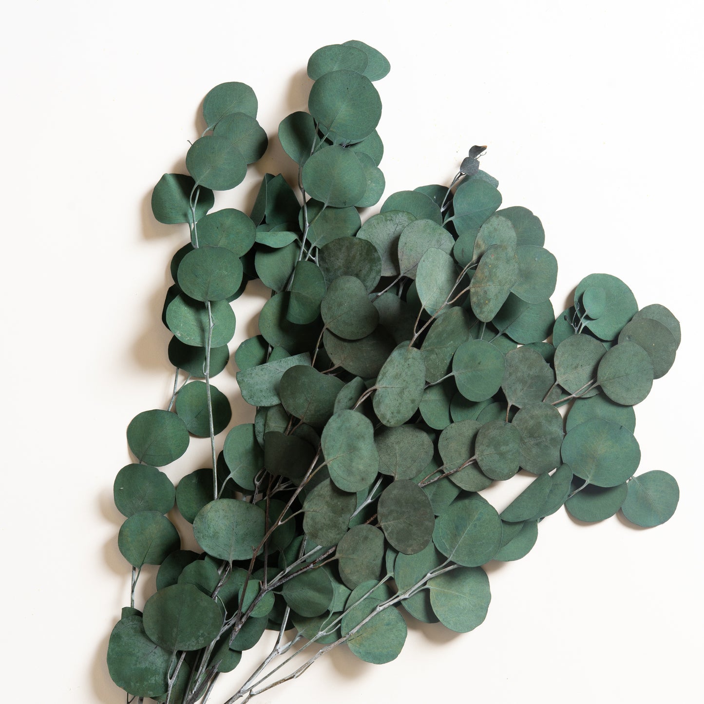 Ramo decorativo modelo 11 Eucalipto 55 cm