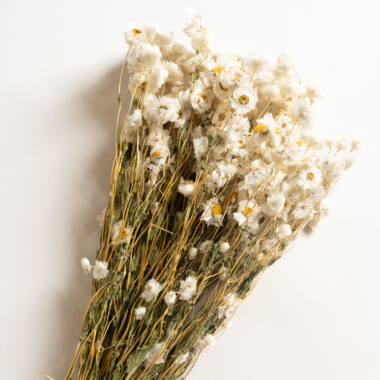 Ramo decorativo modelo 15 Siempreviva 60 cm