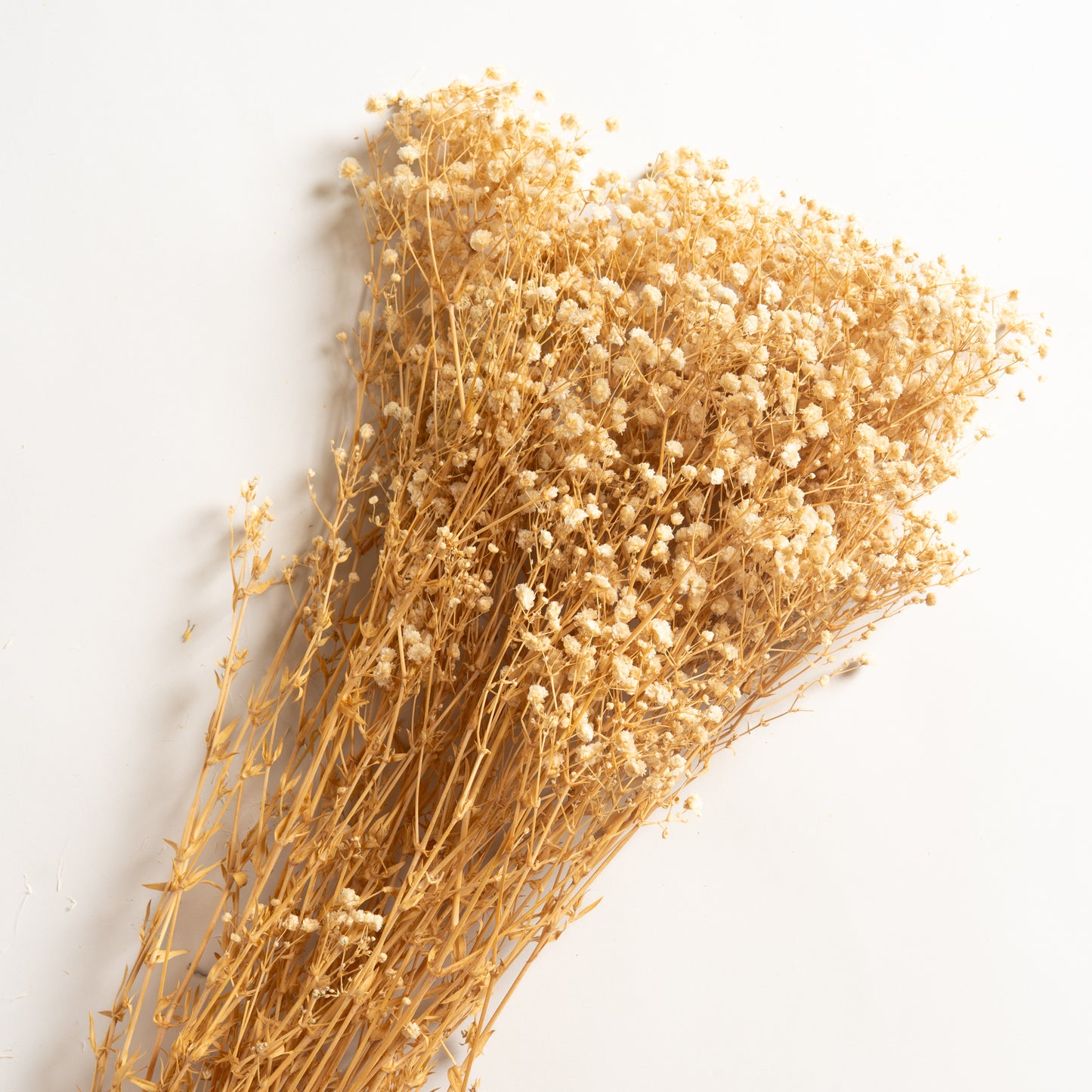 Ramo decorativo modelo 16 Paniculata 75 cm