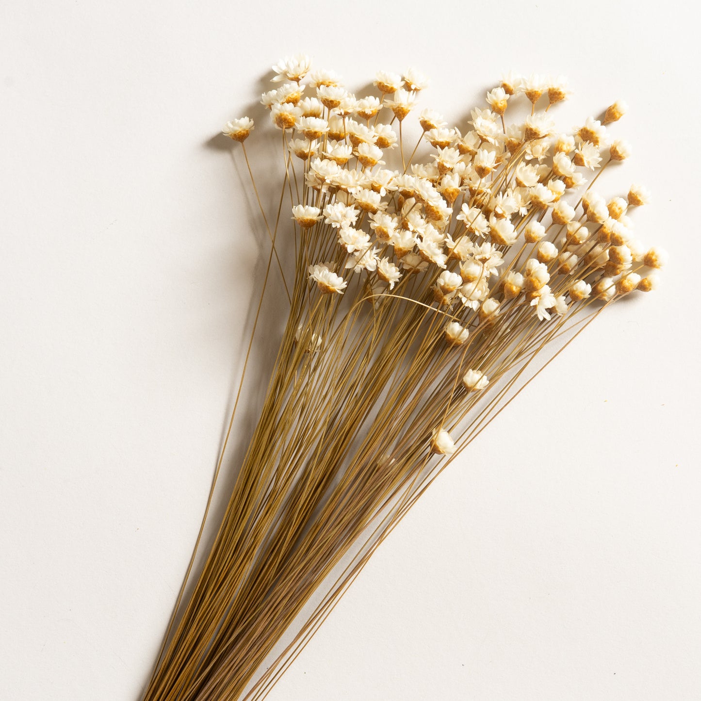 Ramo decorativo modelo 17 50 cm