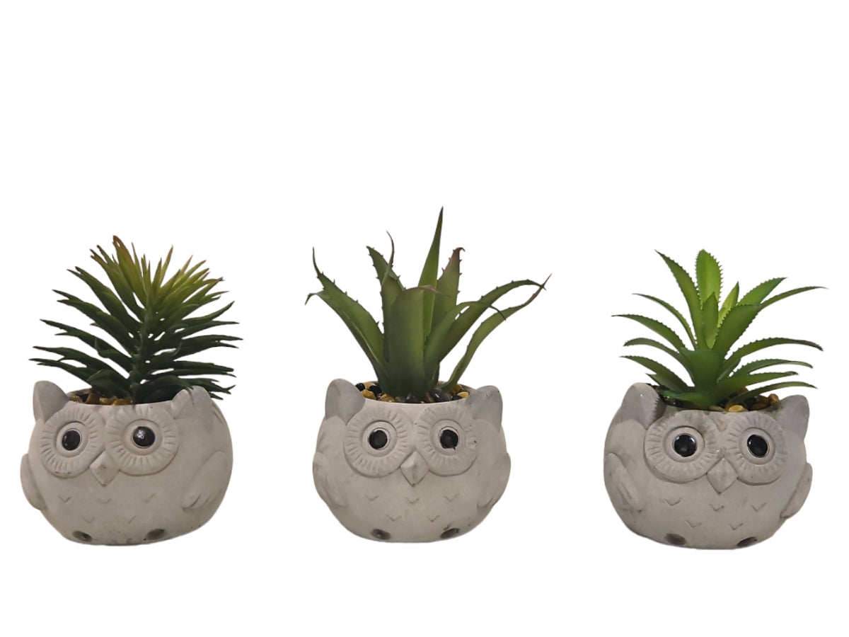 Macetas cemento Buho con planta artificial set x 3 7x7x11 cm
