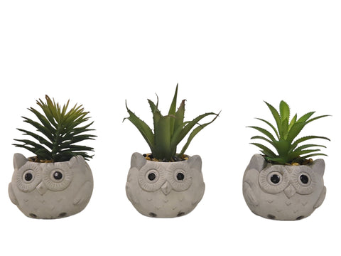Macetas cemento Buho con planta artificial set x 3 7x7x11 cm