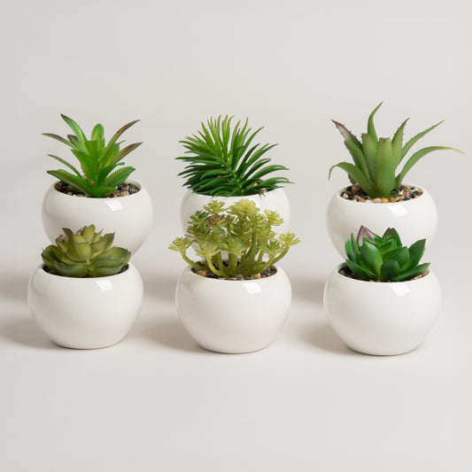 Maceta planta artificial ceramica blanca redonda Set x 6 6x6x8 cm