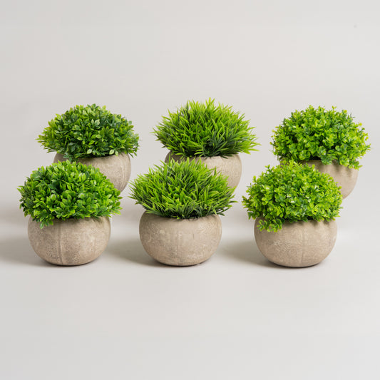 Maceta planta artificial cemento Set x 6 10x10x12 cm
