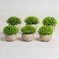 Maceta planta artificial cemento Set x 6 10x10x12 cm