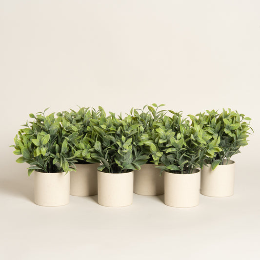 Maceta plastica beige con planta artificial Selvium set x 6 modelo 2 7x7x18 cm