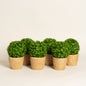 Maceta planta artificial ceramica Arpillera set x 6 8x8x18 cm