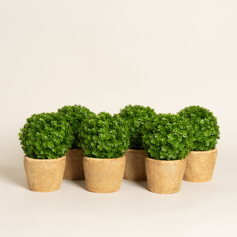 Maceta planta artificial ceramica Arpillera set x 6 8x8x18 cm