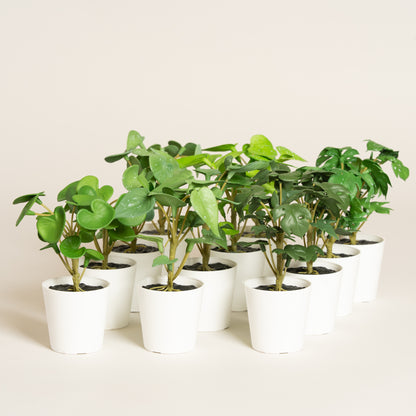 Maceta plastica blanca small con planta artificial set x 12 4x4x12 cm