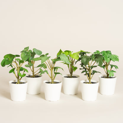 Maceta plastica blanca small con planta artificial set x 12 4x4x12 cm