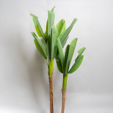 Planta artificial Bananero Set x 2 170cm