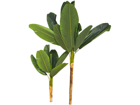 Planta artificial Bananero Set x 2 170cm