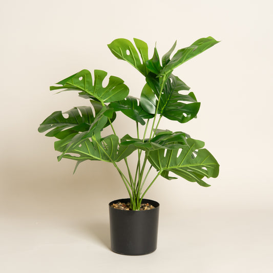 Planta artificial Adan 10x50 cm