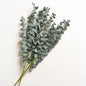 Planta artificial Eucalipto set x 2  75 cm