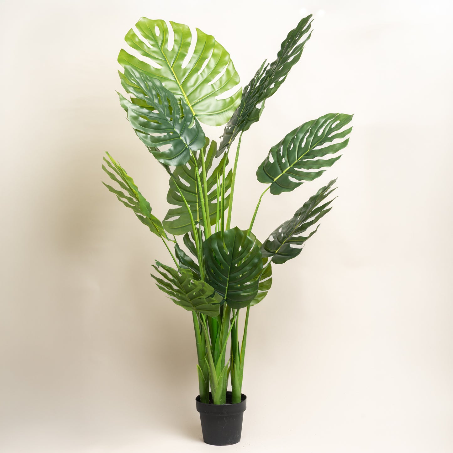 Planta artificial Embar 165 cm