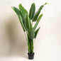 Planta artificial Sterlitzia 140 cm