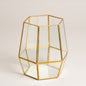 Linea metal terrario de vidrio Norwich dorado 15x20 cm