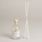 Frasco difusor Lebot transparente 6 x15 cm