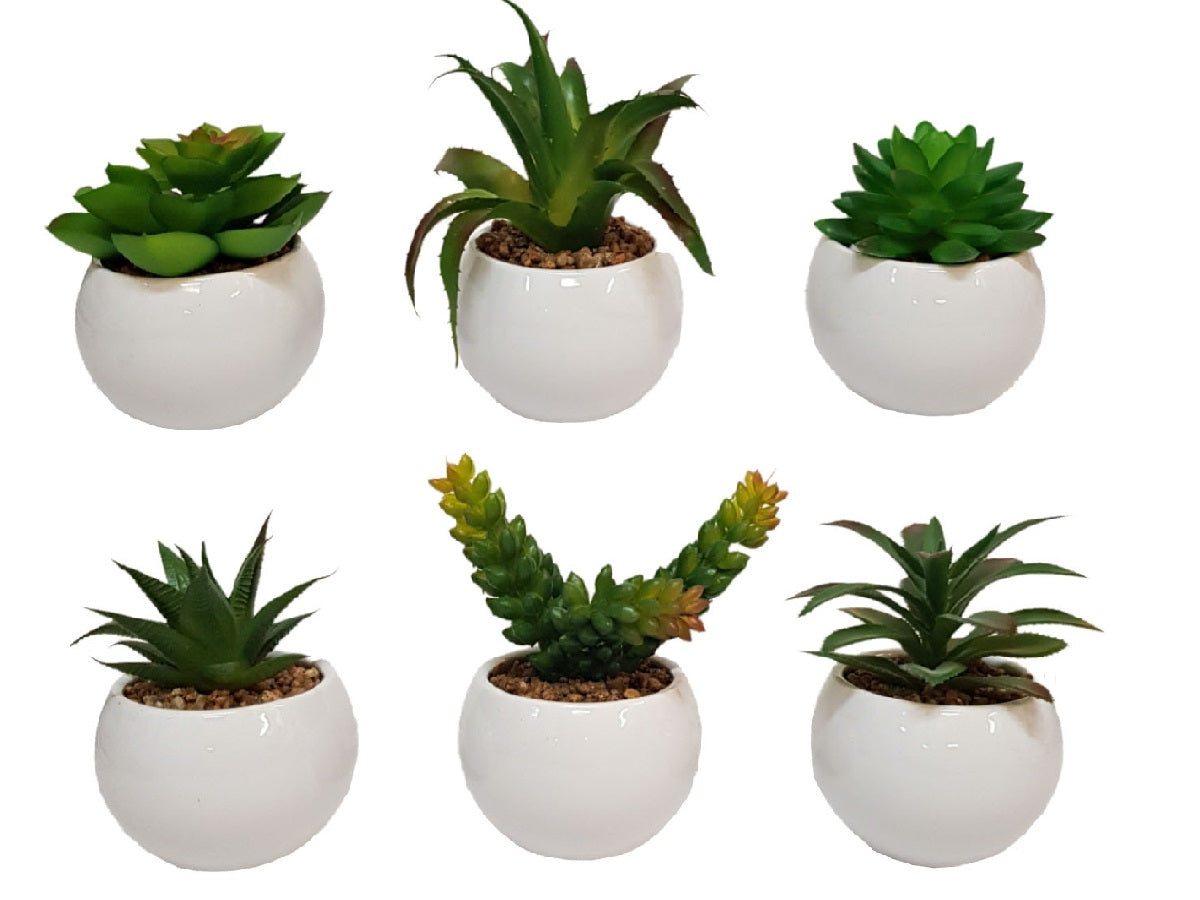 Macetas ceramica blanca redonda con planta artificial Set x 6 6x6x8 cm
