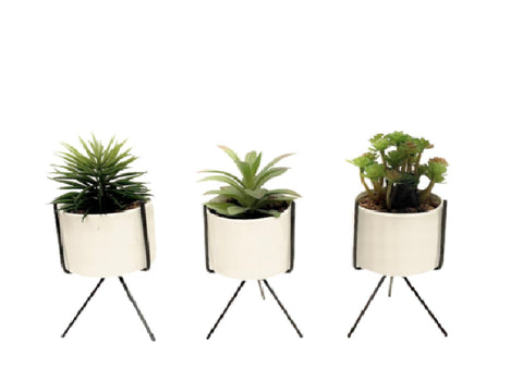 Macetas de ceramica blanca con planta artificial Set x 3 8x8x19 cm