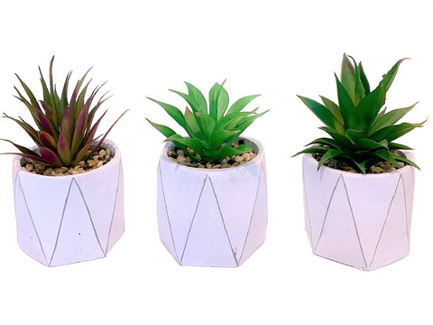 Macetas ceramica grometricas con planta artificial Set x 3 7x7x11 cm