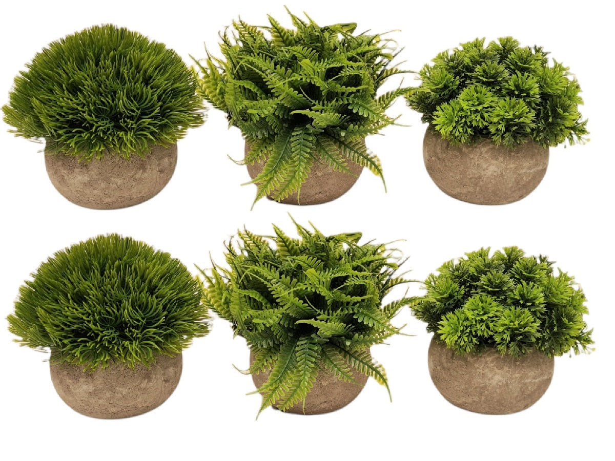 Maceta de cemento con planta artificial Set x 6 10x10x12 cm