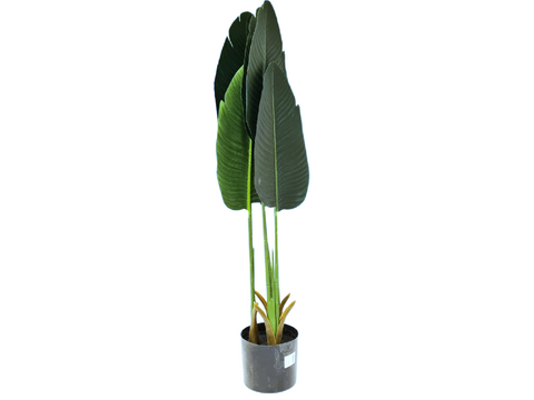 Planta artificial sterlitzia con 6 hojas 80 cm