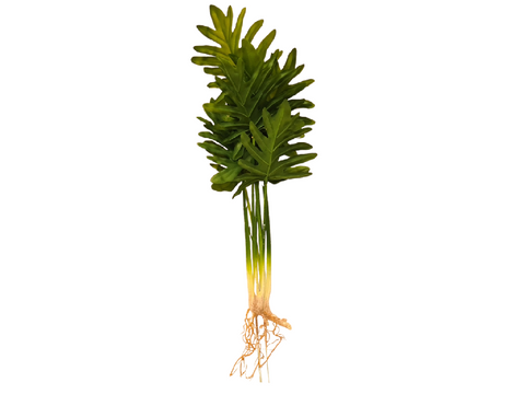Planta artificial costilla adan 45 cm